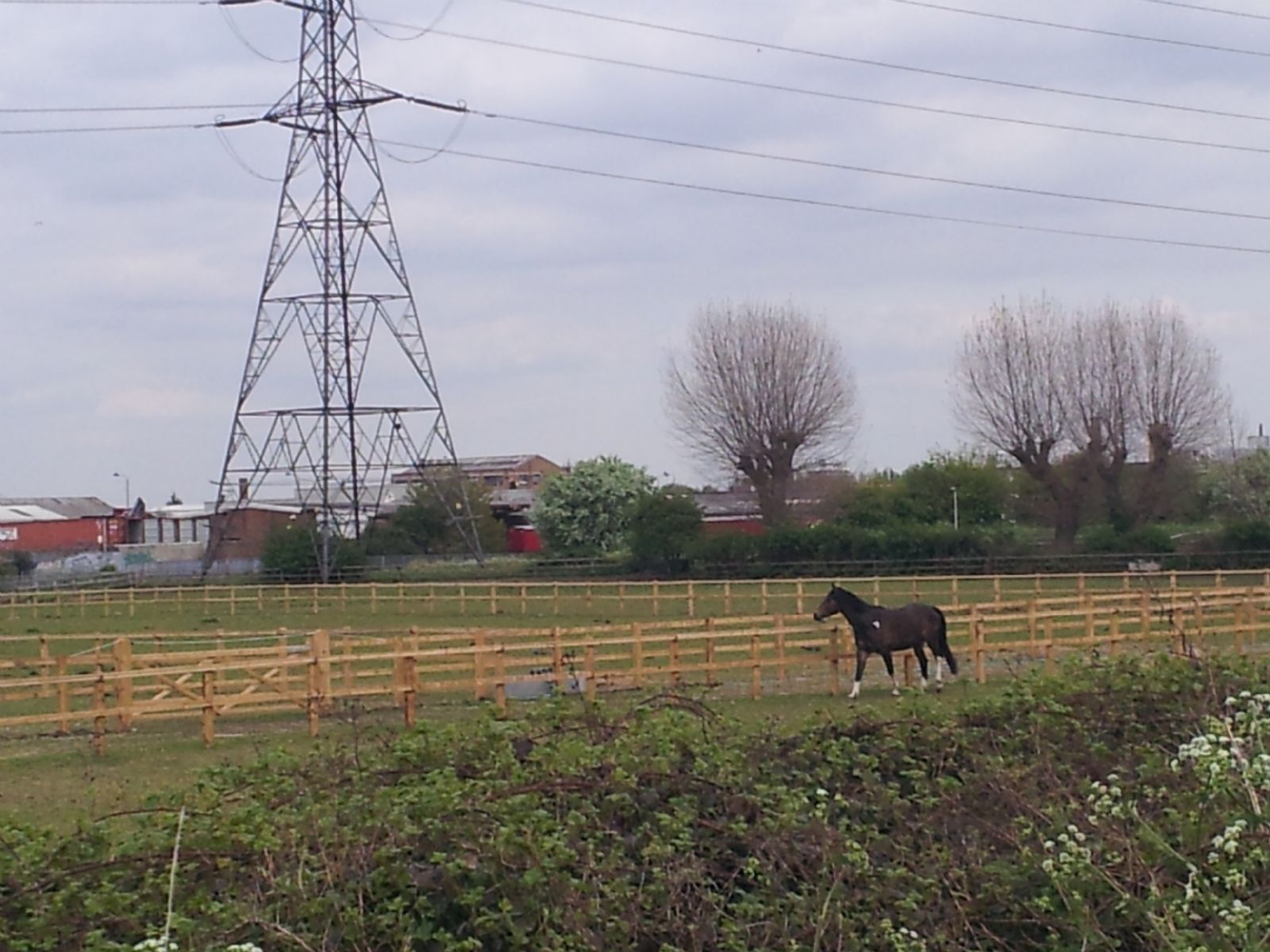 Lee Valley Riding Centre